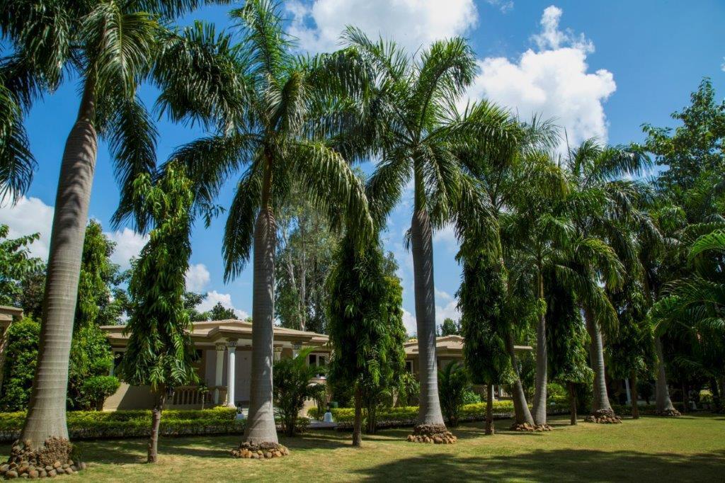 Tiger'S Den Resort Bandhavgarh National Park المظهر الخارجي الصورة